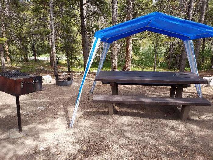 Silver Dollar Campground, site 3 picnic table and grill