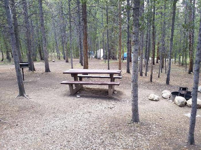 Silver Dollar Campground, site 5 picnic table and fire grill