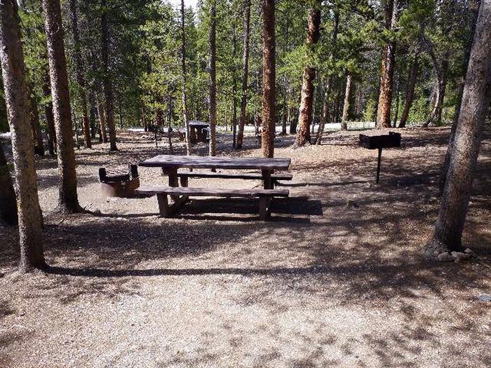Silver Dollar Campground, site 7 picnic table, fire ring, and grill