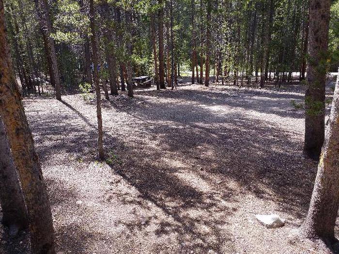 Silver Dollar Campground, site 7 clearing
