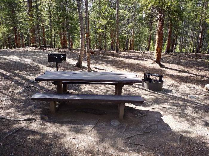 Silver Dollar Campground, site 8 picnic table, fire ring, and grill