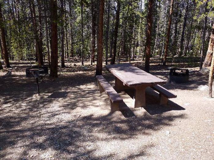 Silver Dollar Campground, site 10 picnic table, fire ring and grill