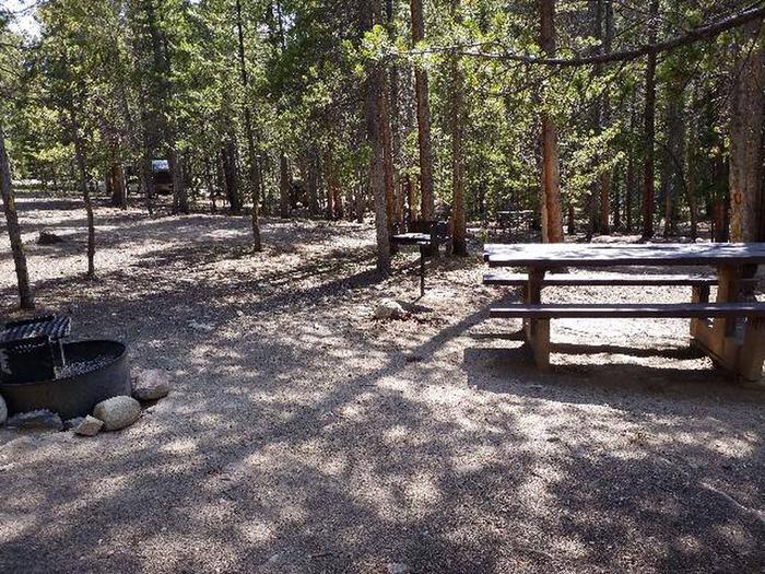 Silver Dollar Campground, site 11 picnic table, fire ring and grill