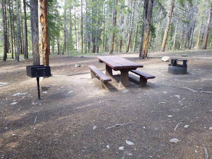 Silver Dollar Campground, site 13 picnic table, grill and fire ring