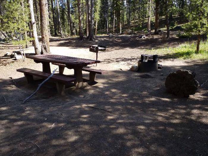 Silver Dollar Campground, site 16 picnic table, fire ring, and grill