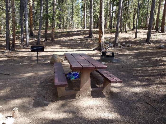 Silver Dollar Campground, site 17 picnic table, fire ring, and grill