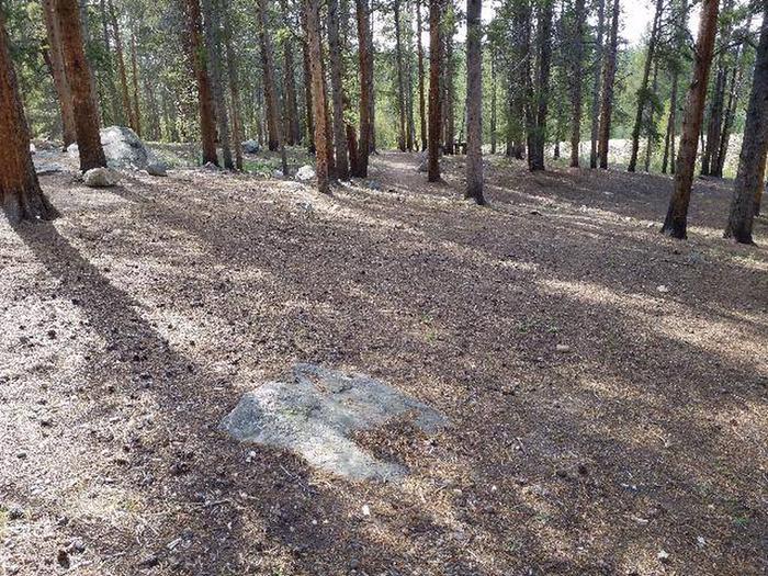 Silver Dollar Campground, site 18 clearing