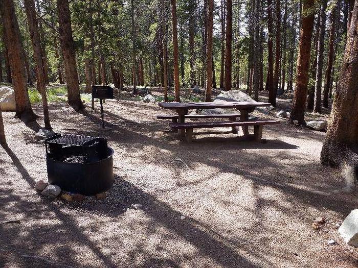Silver Dollar Campground, site 18 picnic table, grill, and fire ring