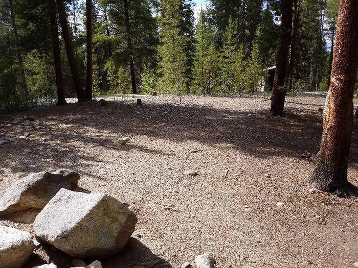 Silver Dollar Campground, site 19 clearing