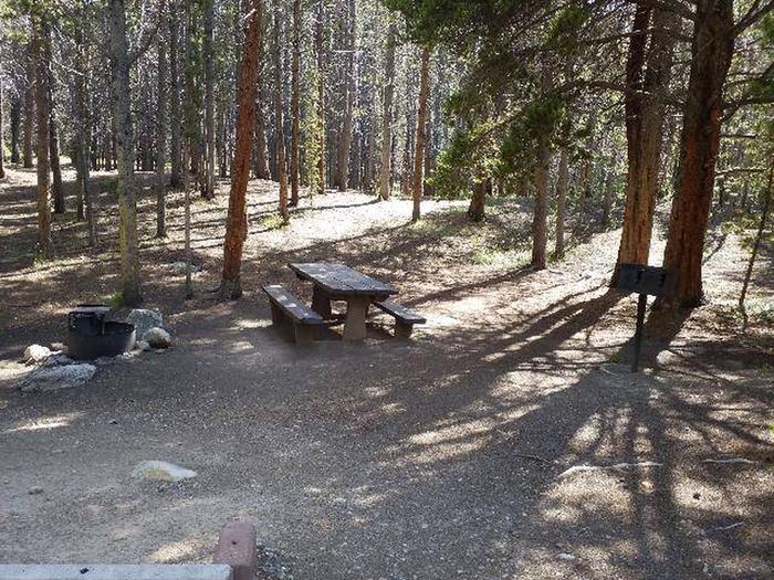 Silver Dollar Campground, site 25 picnic table, fire ring, and grill