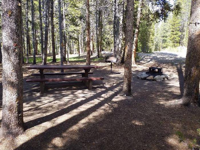 Silver Dollar Campground, site 27 picnic table, fire ring, and gril