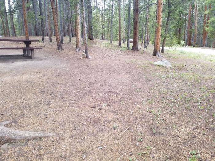 Silver Dollar Campground, site 30 clearing
