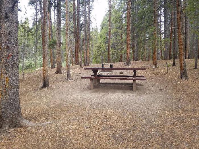 Silver Dollar Campground, site 30 picnic table