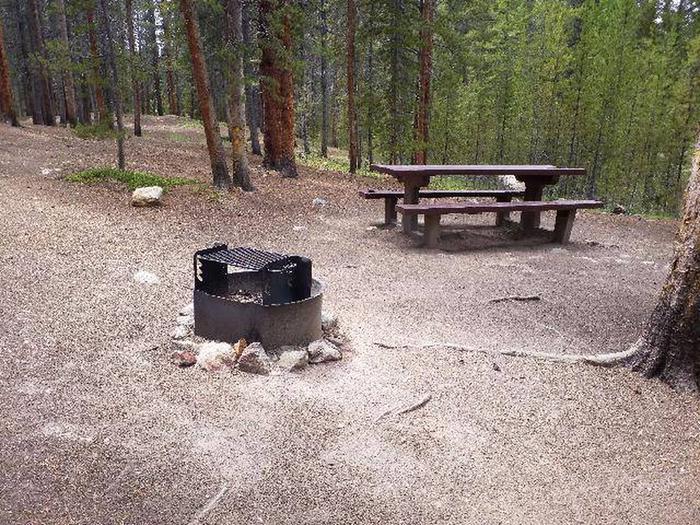 Silver Dollar Campground, site 31 picnic table and fire ring