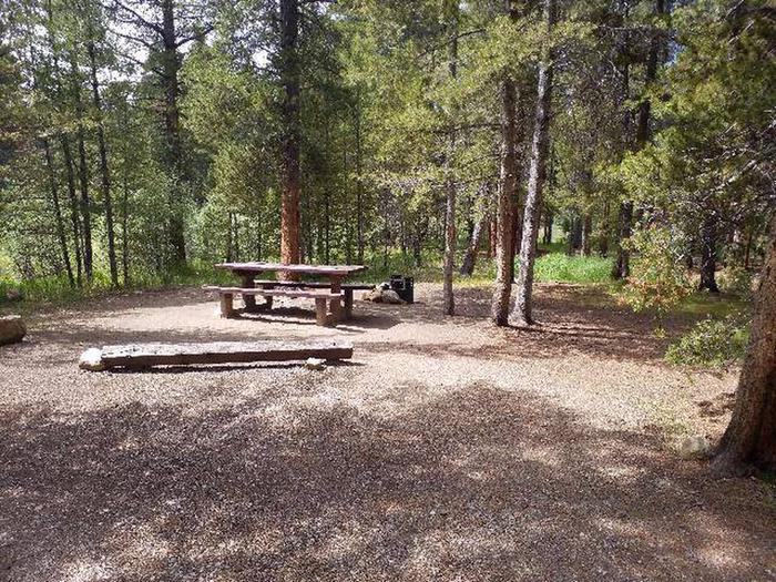 Silver Dollar Campground, site 33 picnic table