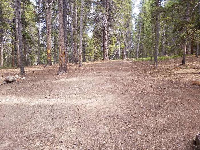 Silver Dollar Campground, site 34 clearing