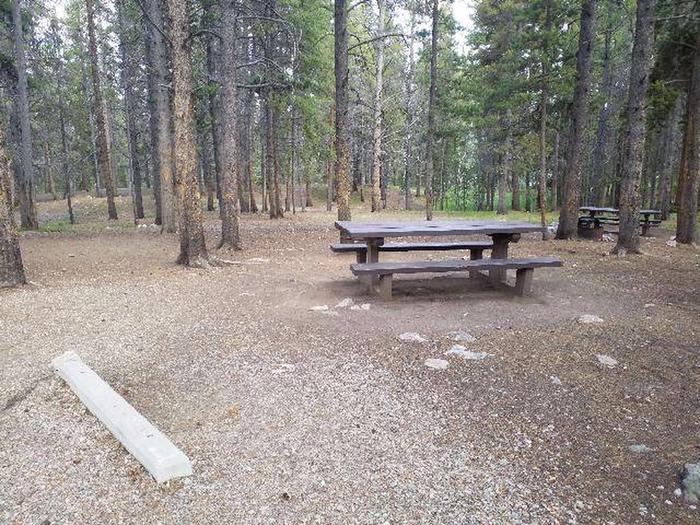 Silver Dollar Campground, site 37 picnic table