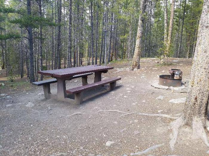 Silver Dollar Campground, site 39 picnic table and fire ring