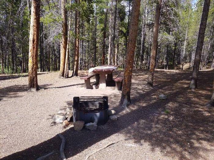 Silver Dollar Campground, site 40 picnic table and fire ring