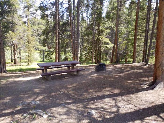 Silver Dollar Campground, site 41 picnic table and fire ring