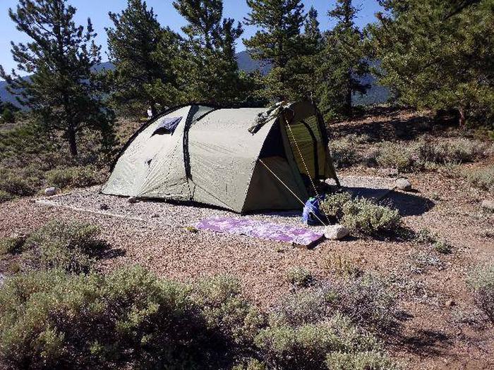 White star Campground, site 4 tent pad