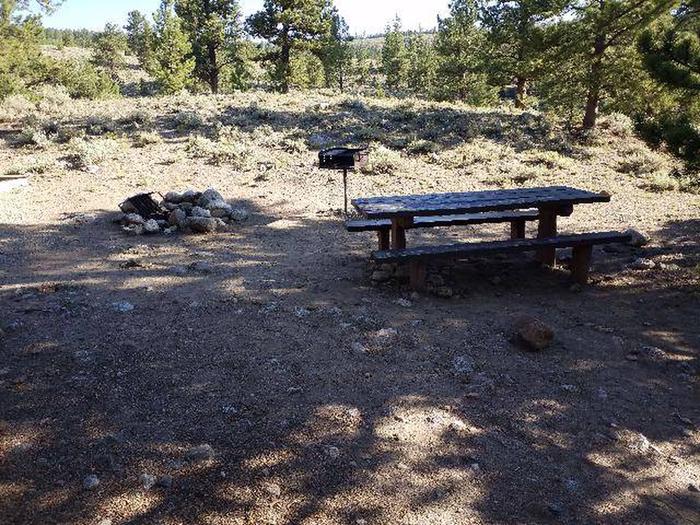 White Star Campground, site 49 picnic table, fire ring, and grill