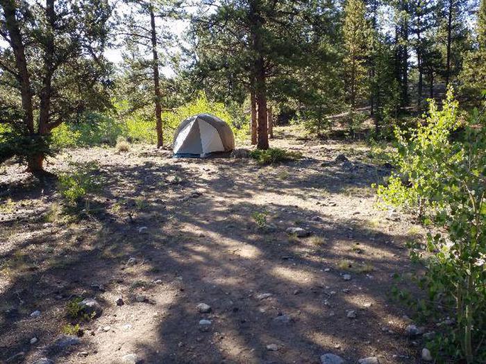 White Star Campground, site 51 tent clearing