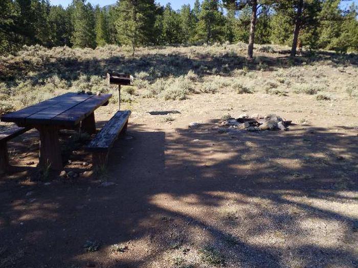 White Star Campground, site 57 picnic table, fire ring, and grill