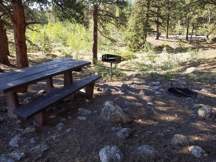 White Star Campground, site 60 picnic table, fire ring, and grill