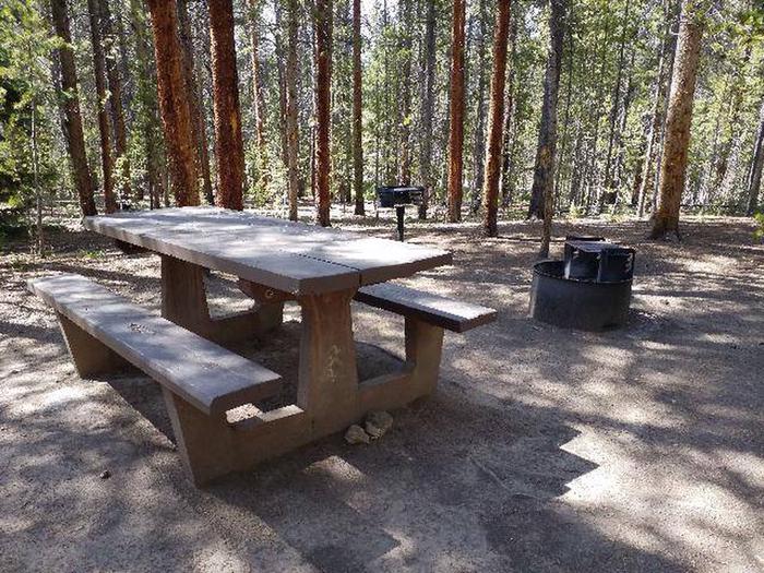 Silver Dollar Campground, Site 9 picnic table, fire ring, and grill