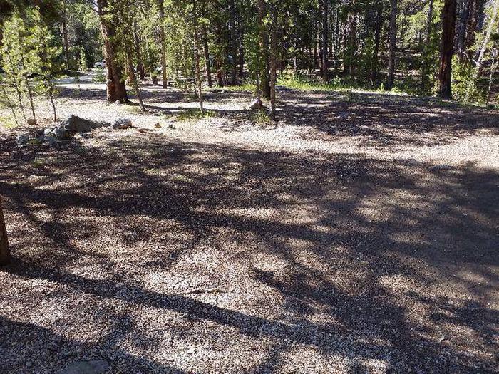 Father Dyer Campground, site 17 clearing