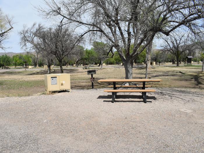 A bear box, picnic table, and metal grill all sit close together at the edge of a gravel driveway. Behind the table is a cottonwood tree in winter that has lost its leaves.Lots of shade