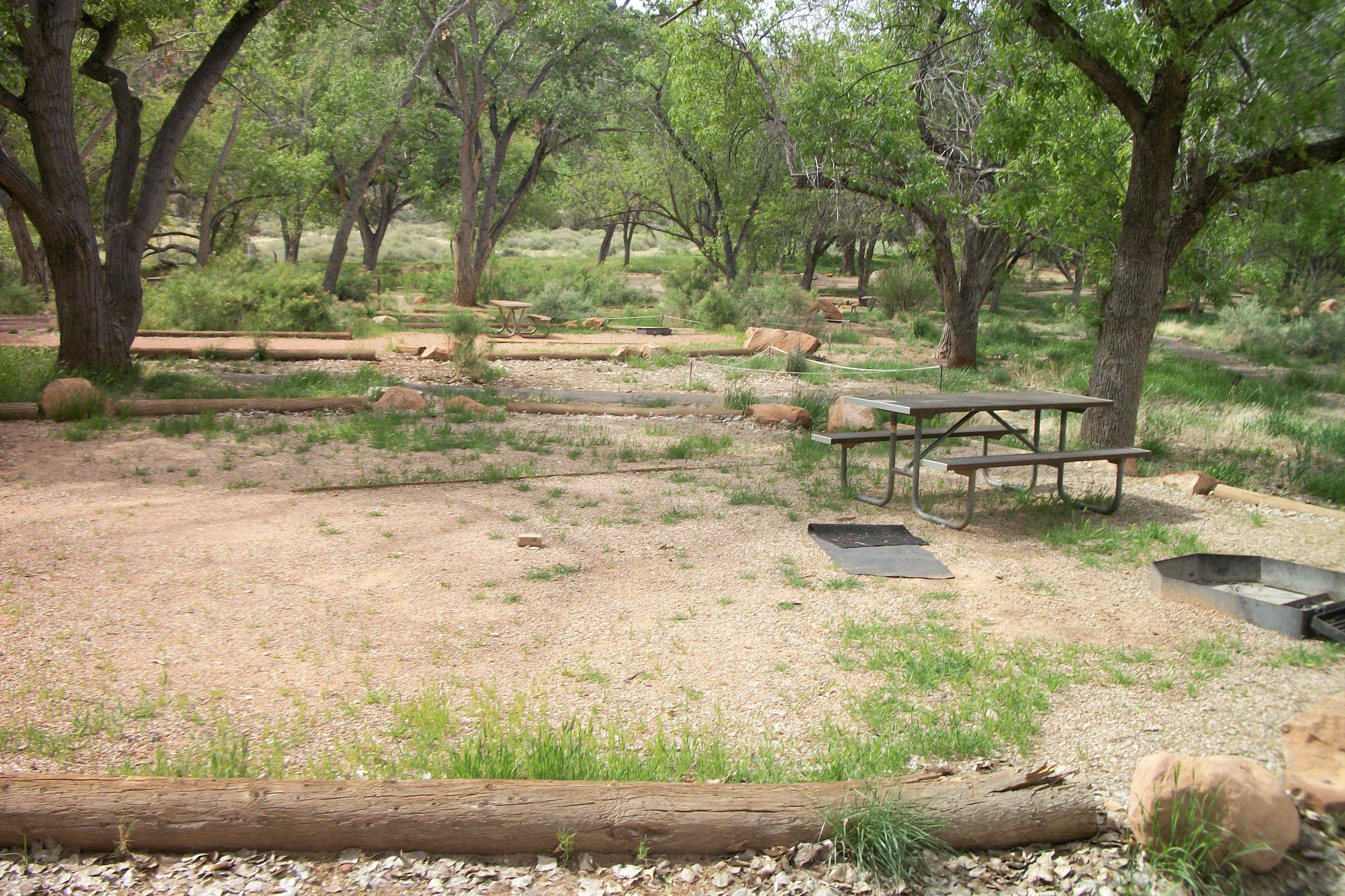 Site D030, Watchman Campground - Recreation.gov