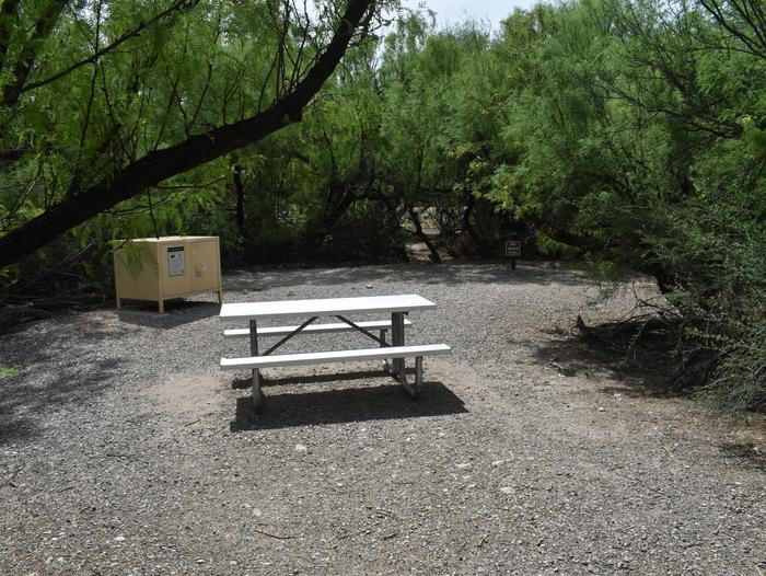View of site 31 with a bear box, picnic table, and grill surrounded by green trees. There is a large, cleared space nestled in the trees where tents and shelters can be pitched, offering plenty of privacy and shade.Close-up view of Site 31