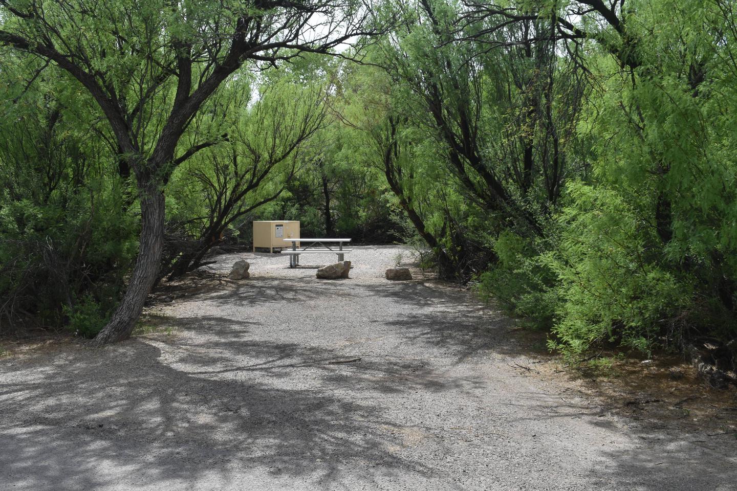 View of the driveway leading into site 31 from the main road. The driveway and campsite are surrounded by large trees and bushes, offering plenty of shade and privacy. Three rocks mark the end of the driveway and the beginning of the main site area. Road view of Site 31