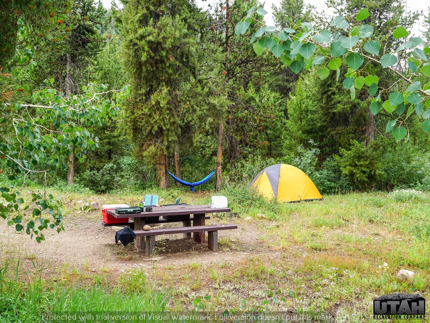 Site 17, Shady Dell Campground - Recreation.gov