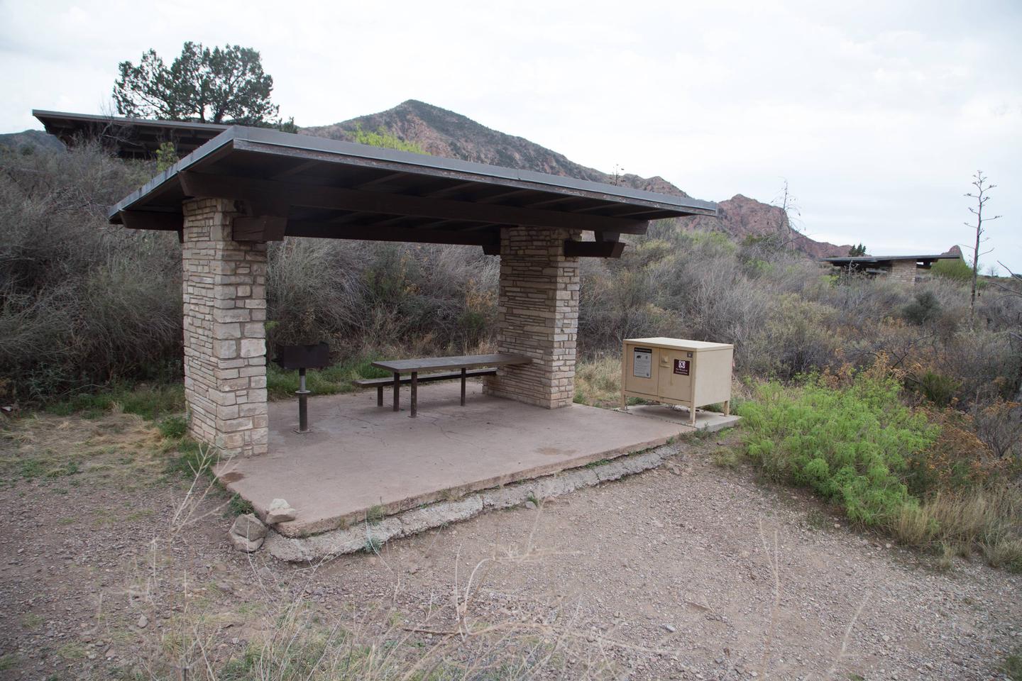 Chisos Basin Campsite #1 picnic areaPicnic area and bear box