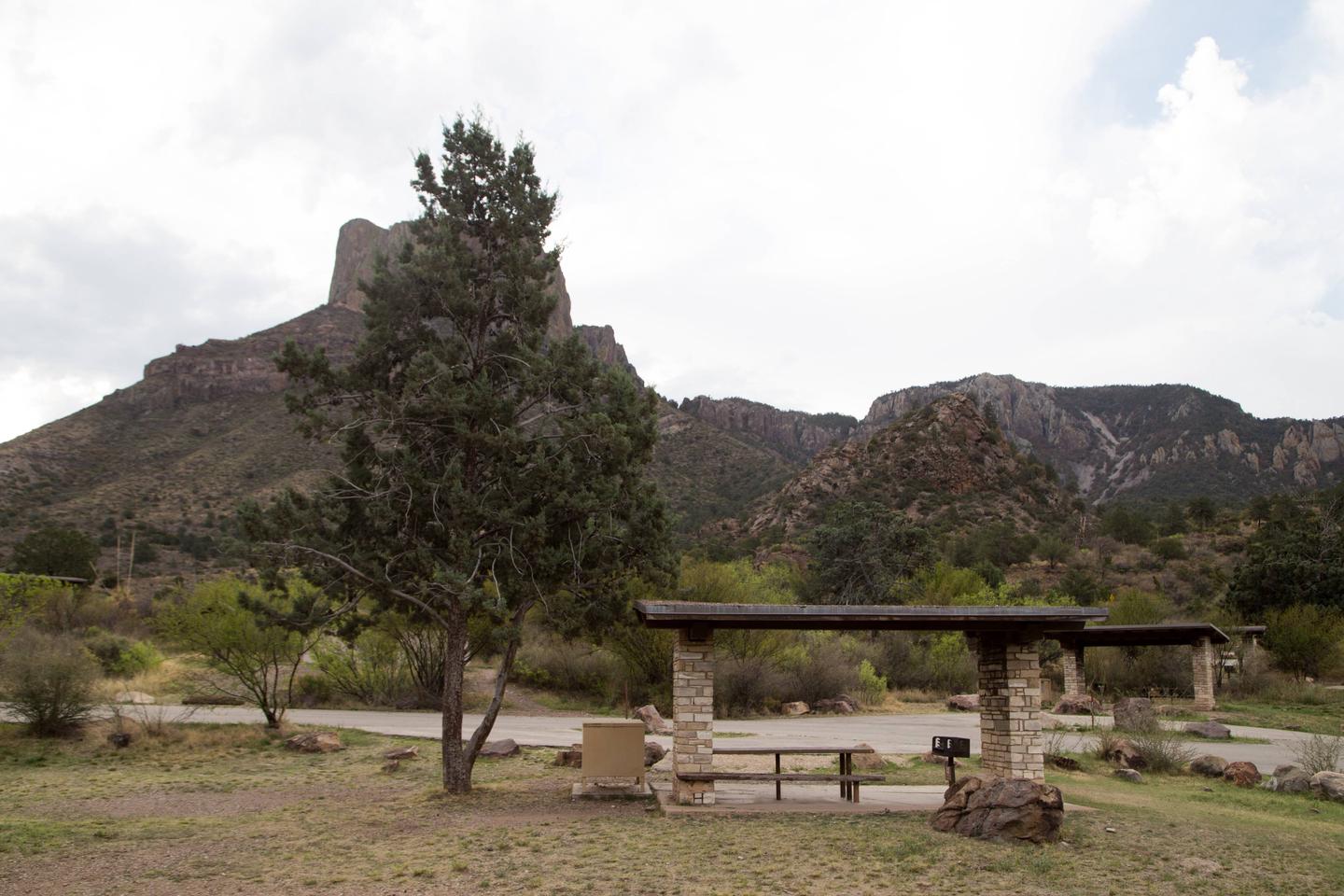 Chisos Basin Campsite #6 rearRear view of campsite