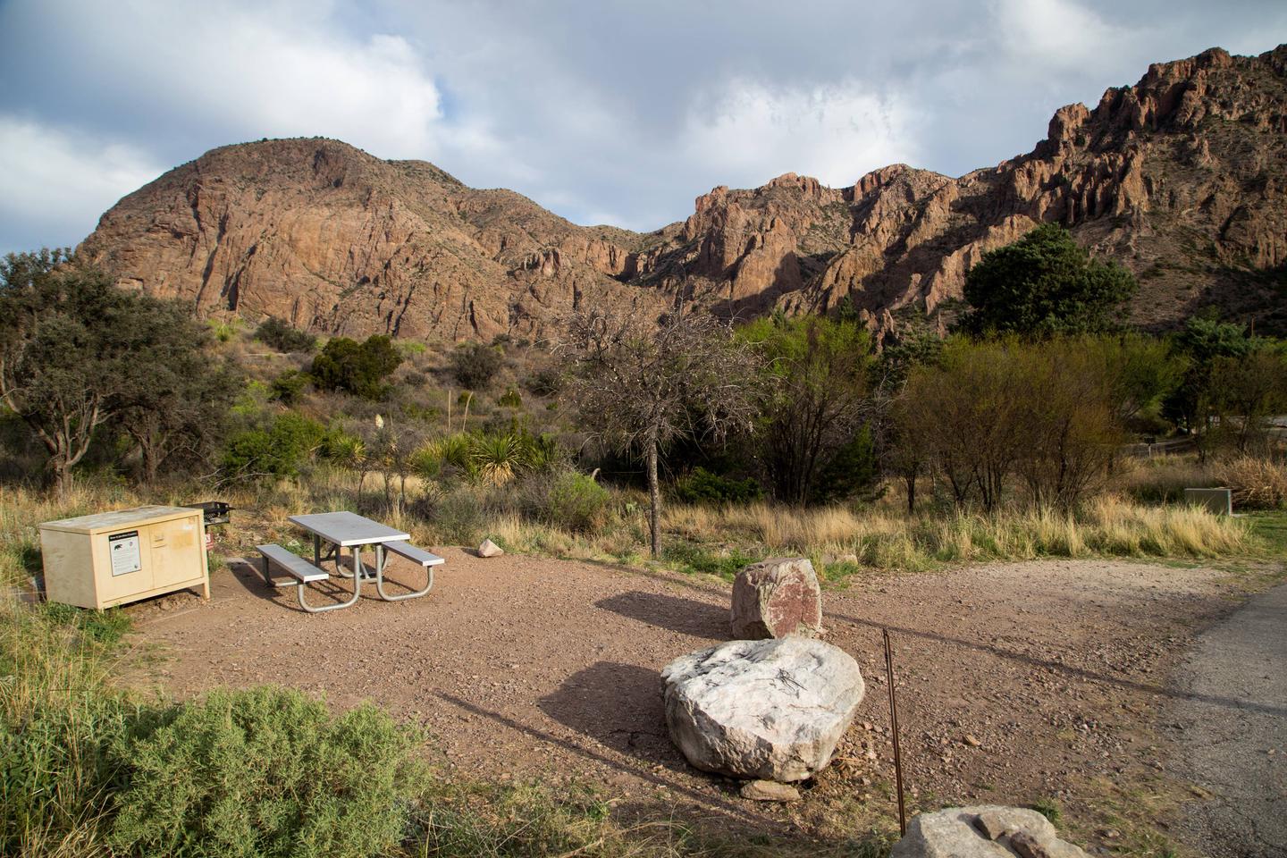 Chisos Basin Campsite #8 full viewBear box, picnic table, tent pad, and parking area