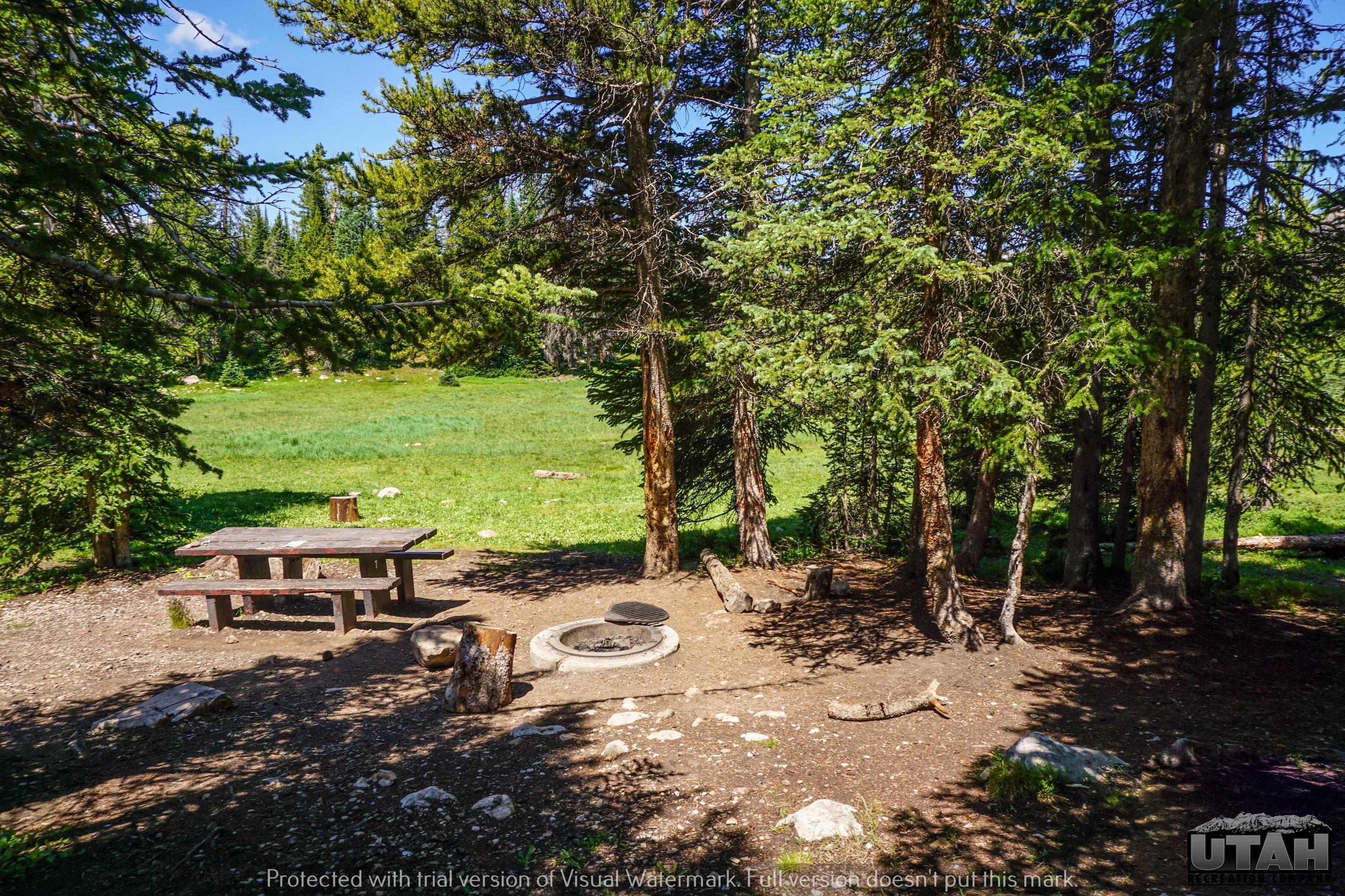 Site 7 Lilly Lake Campground