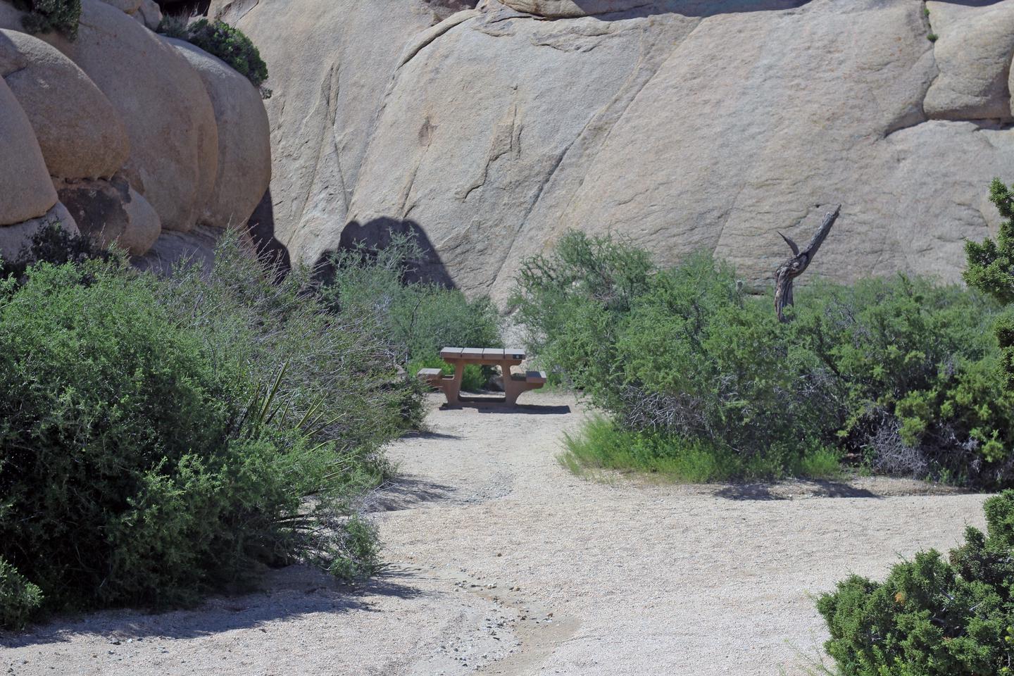 Campsite  with picnic table surrounded by boulders and green plants.Campsite picture.