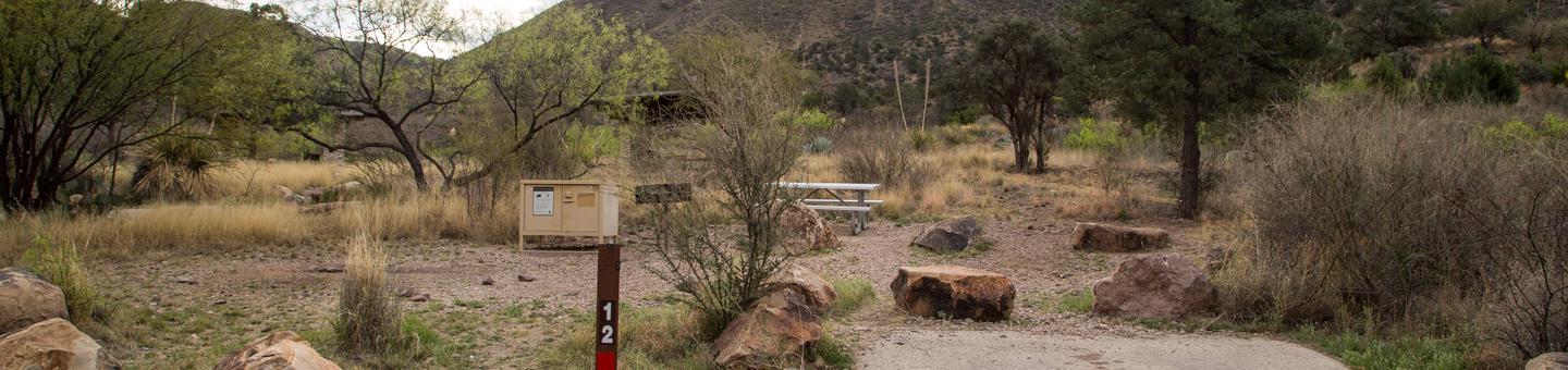 Chisos Basin Campsite #12Overview