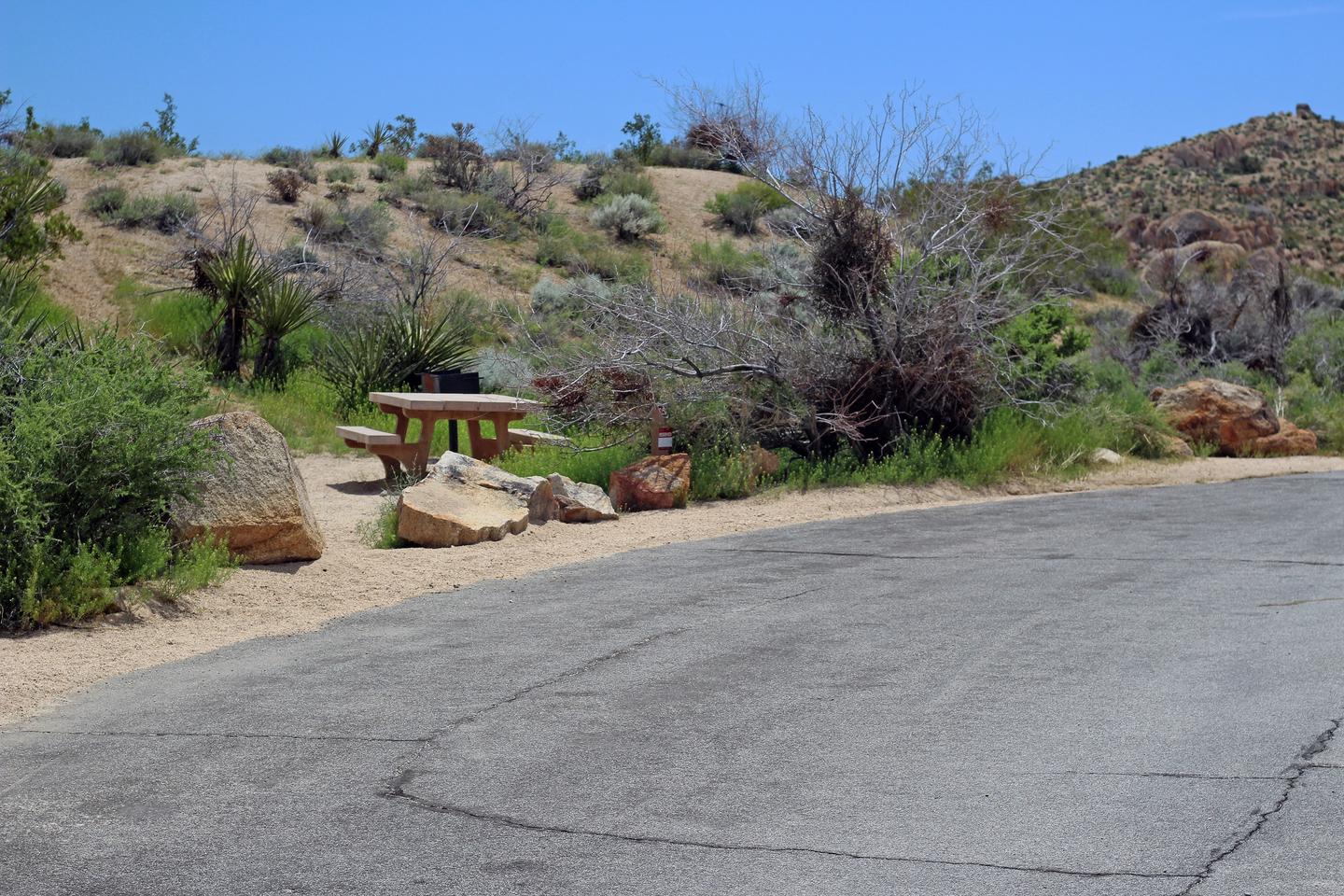 Parking for campsite. Picnic table surrounded by sand hill and green plants.Parking for campsite.