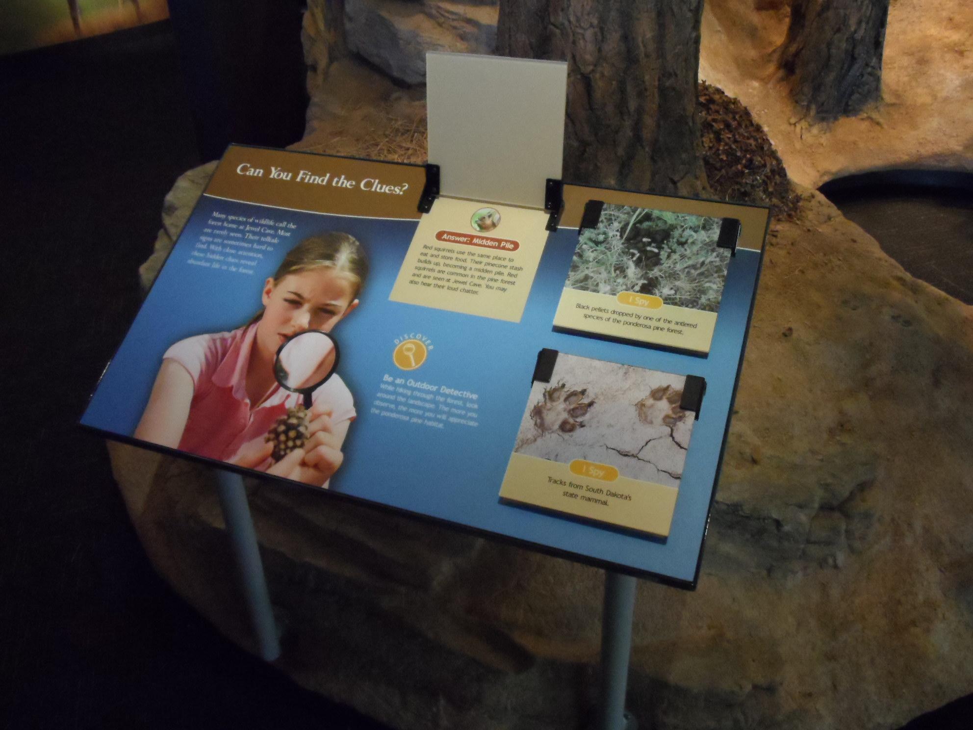 Interactive Reading Rails