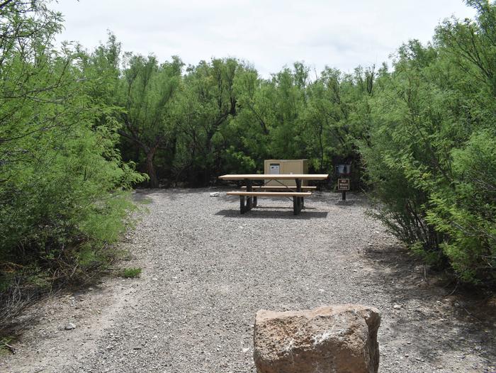 View of the main site area just past the driveway for site 33. There is a large, clear gravel space surrounded by tall bushes and trees, offering plenty of privacy and some shade. Inside the site, there is a picnic table, bear box, and metal grill. Site 33 with trees surrounding 