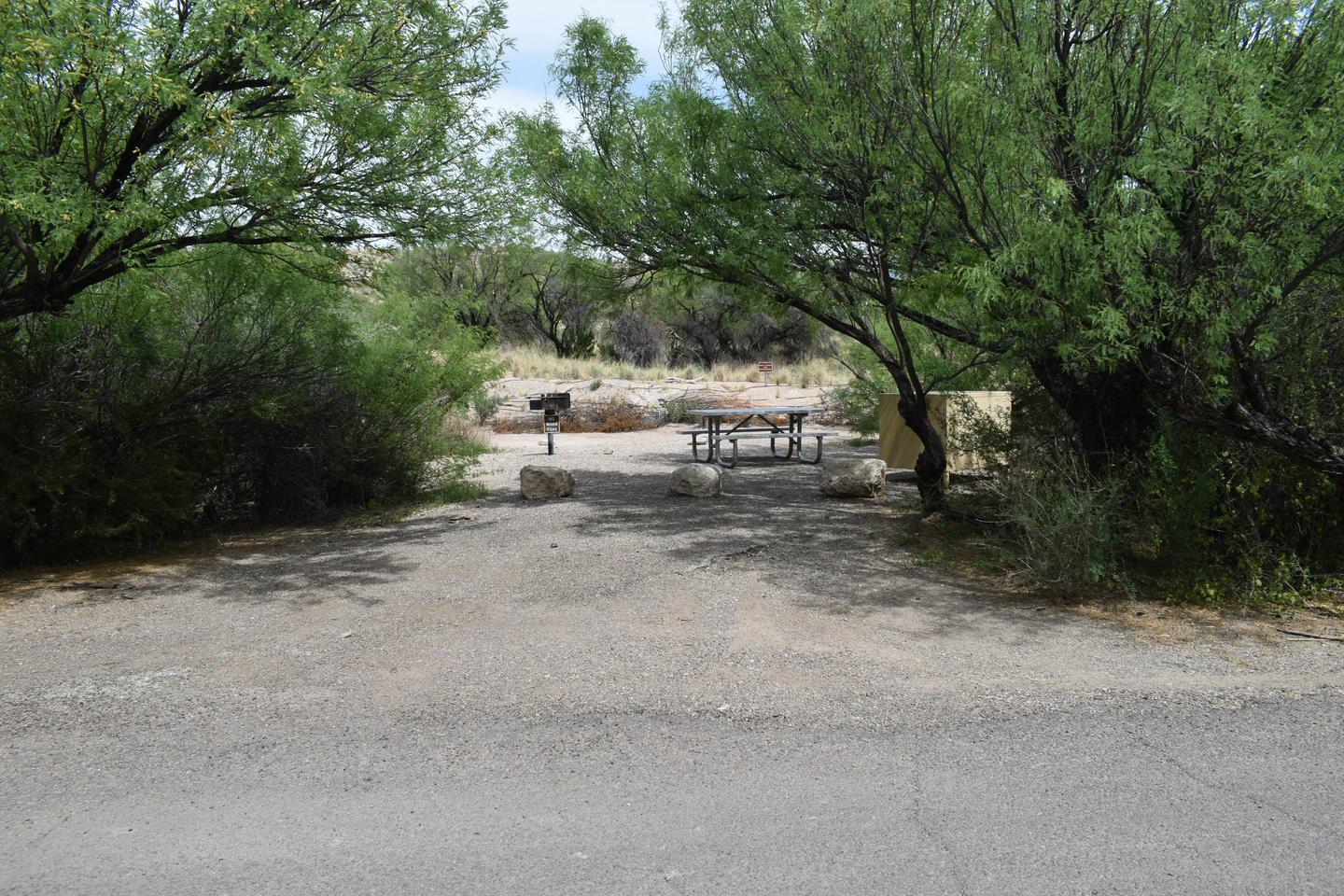 Distant view of site 34 from the main road. The driveway is short, with low-hanging branches that could pose an issue for tall RVs and vehicles. The main campsite area is open, with very little protection from the sun, but does offer some privacy from the surrounding bushes and trees. View of Site 34 from the roadway