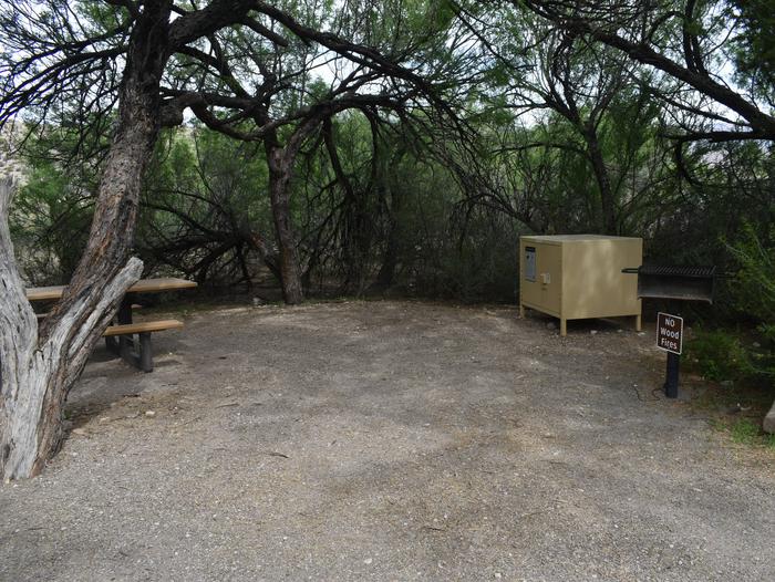 Shaded area with picnic area with bear boxStandard equipment in Site 36