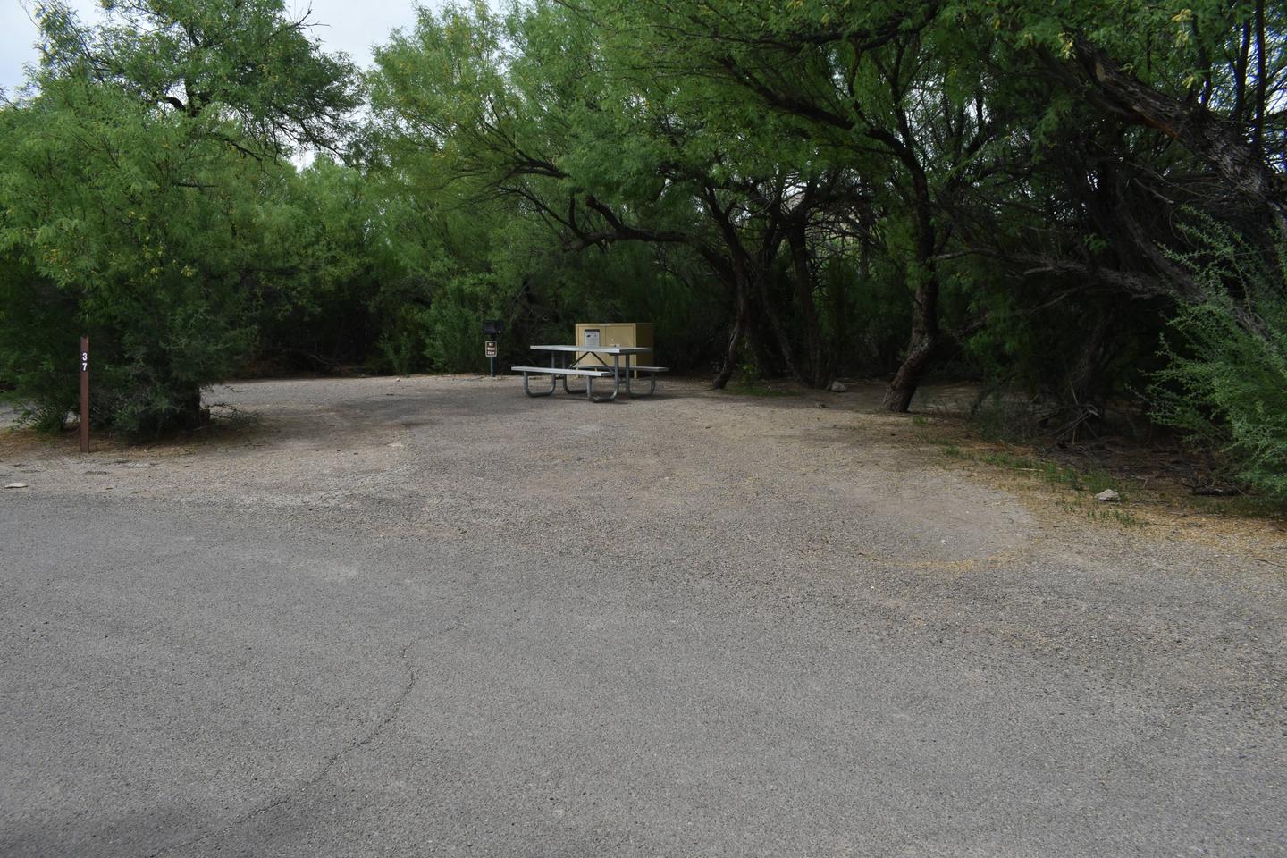 Distant view of the parking area from the main road. The driveway is curved, with tall trees and bushes that offer some shade and privacy. Parking area for Site 37