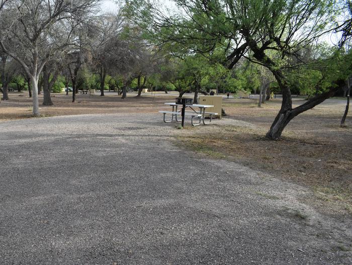 Open area with large trees scatteredSite 49 in Rio Grande Village