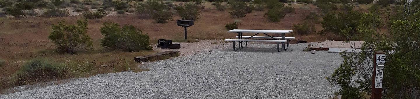 Red Rock Canyon Campground Standard Site 45Very nice long site that has a large tent pad a bbq grill a picnic table and a fire pit. Plenty of parking for the two vehicles  per reservation 